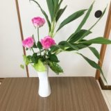 生け花ドラセナ